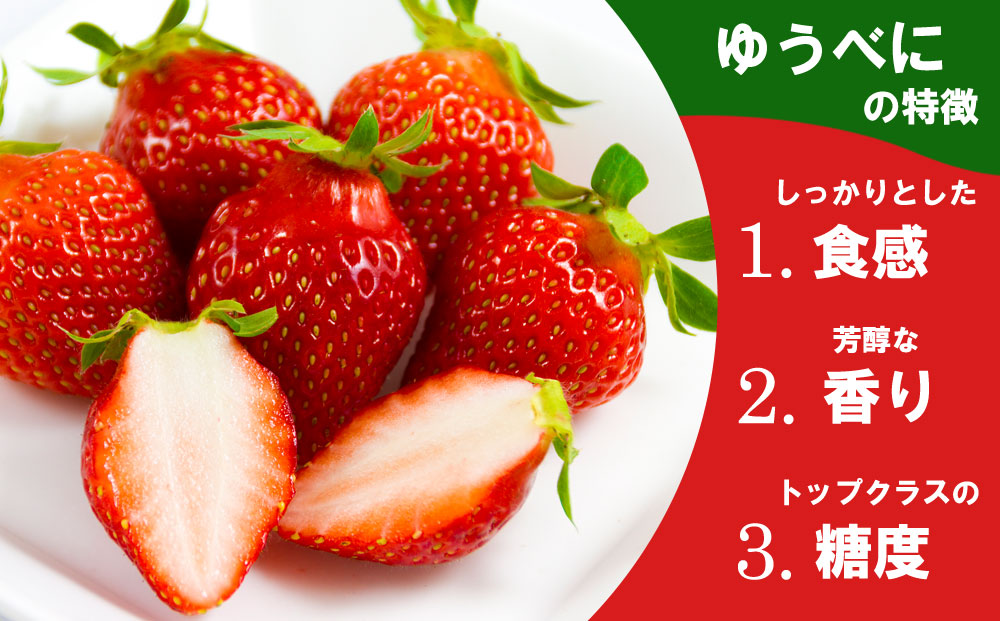 【選べる内容量】いちご 食べ比べセット ゆうべに・恋みのり 各1パック 計2パック 高藤農園 美味しい 人気 あまい 甘い イチゴ 詰め合わせ フルーツ 旬 果実 クリスマス お歳暮 御中元 ギフト おやつ ふるさと納税 熊本 阿蘇 各1パック（計2パック）