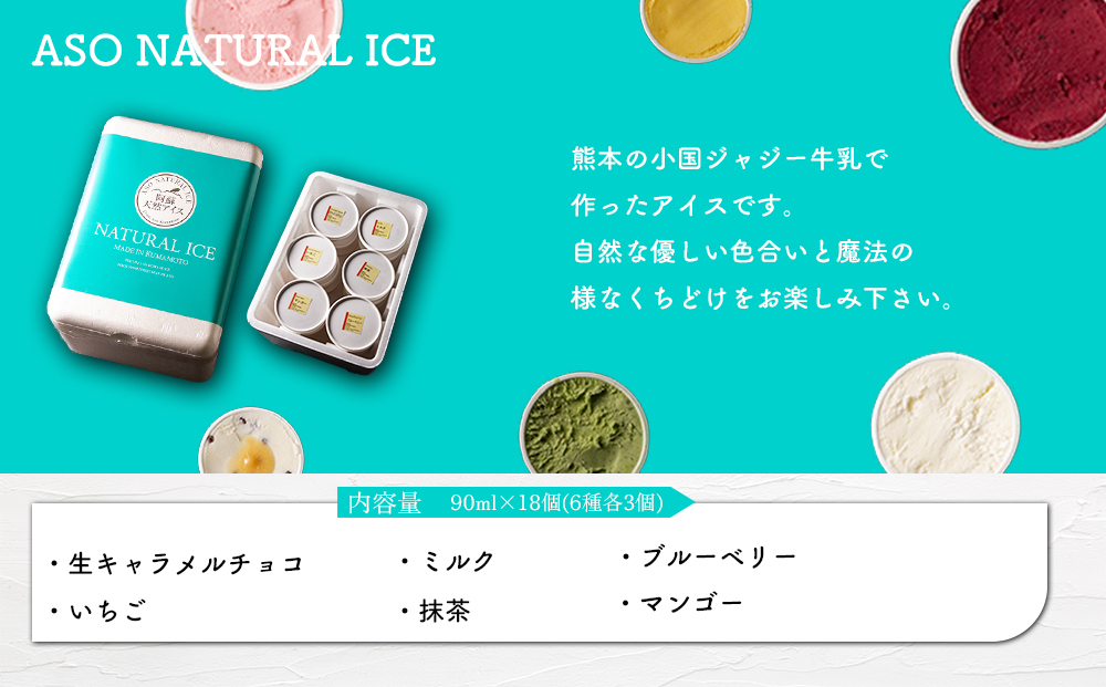 阿蘇天然アイス ジェラート18個セット（生キャラメルチョコ・ブルーベリー・抹茶・いちご・マンゴー・ミルク）6種×3個 計18個 グランプリ 受賞 詰め合わせ 食べ比べ バラエティ 冷たい 冷凍 贅沢 おやつ お中元 お歳暮 熊本県 阿蘇市