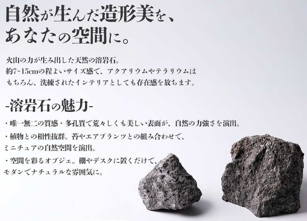 阿蘇溶岩石 サイズはお任せ3kgセット 石 日用品 民芸工房 鉄石 スプリングカンパニー 玄武岩 インテリア アクアリウム テラリウム 造園 趣味 ガーデニング 置物 自宅用 贈り物 自然 熊本県 阿蘇市