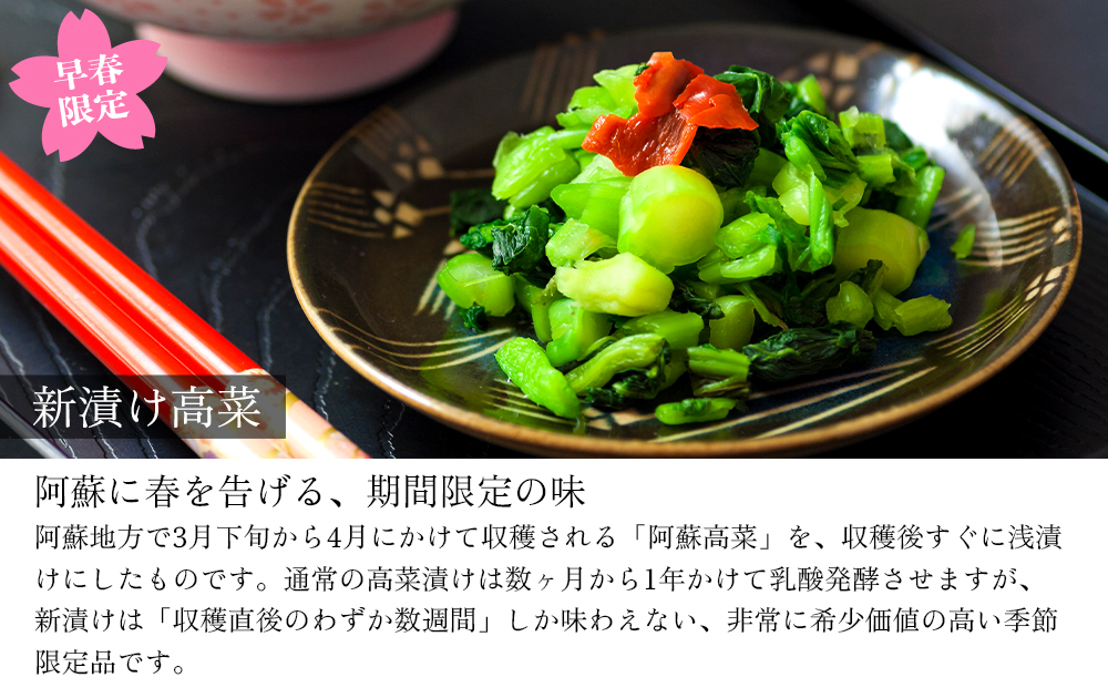 【選べるセット】【期間限定】春の「ひとくち阿蘇」セット 新漬け高菜3種食べ比べ 計700g たかな 青たかな 青高菜 漬物 旬 春 数量限定 ご当地 阿蘇高菜 郷土料理 漬物 冷蔵 冷凍保存可能 おつまみ ごはん おかず ピリ辛 野菜 加工食品 熊本県 阿蘇市 新漬けたかな3種セット