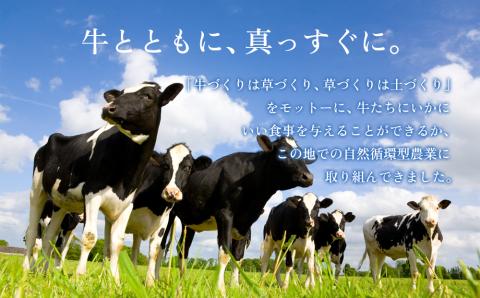 のむヨーグルト大小8本セット 阿部牧場 牧場 ヨーグルト 乳製品 三ツ星 人気 濃厚 こだわり 贅沢 美味しい 詰め合わせ 熊本 阿蘇