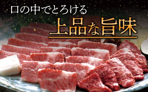 【定期便 全3回】 くまもと黒毛和牛すきやき500g 阿蘇牧場 黒毛和牛 和牛 肉 定期便 国産 牛肉 ブランド牛 人気 美味しい すき焼き 希少 ジューシー 熊本 阿蘇