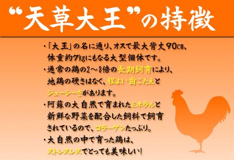 くまもと地鶏 天草大王 もも肉・むね肉1kgセット 肉 もも肉 むね肉 1kg 地鶏 鶏肉 炭火焼 人気 希少 貴重 美味しい ヘルシー ジューシー コラーゲン 食べ比べ 熊本 阿蘇