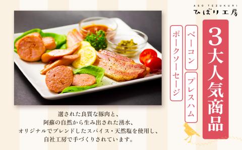 季節のお野菜とひばり工房 3大人気セットver.2 （野菜、ベーコンブロック、プレスハム、ポークソーセージ） 詰め合わせ 食べ比べ ドイツ コンテスト suffa 金賞 手作り 豚肉  新鮮 減農薬 高原 旬 産地直送 採れたて 朝採れ みずみずしい 甘い 美味しい 人気 安心 安全 おすすめ お中元 御歳暮 熊本県 阿蘇市