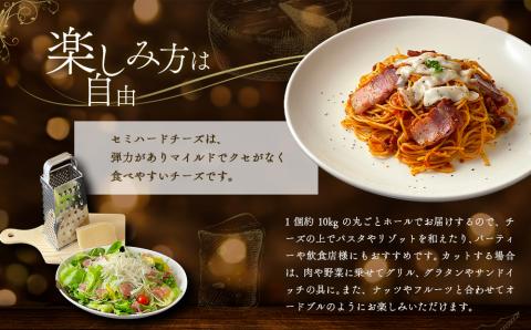 ASOMILK CHEESE セミハードホール 約10kg 阿部牧場 チーズ 希少 熟成 こだわり 人気 豪華 贅沢 乳製品 ASOMILK 牛乳 ミルク 熊本 阿蘇