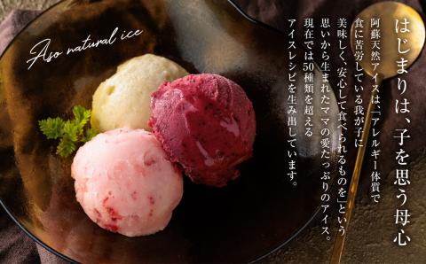 阿蘇天然アイス 極みシリーズ 6個 セット ジェラート グランプリ 受賞 詰め合わせ 食べ比べ バラエティ 素材 こだわり 人気 涼しい 冷たい 冷凍 さっぱり 美味しい 贅沢 果物 フルーツ おやつ 夏 お中元 お歳暮 熊本県 阿蘇市