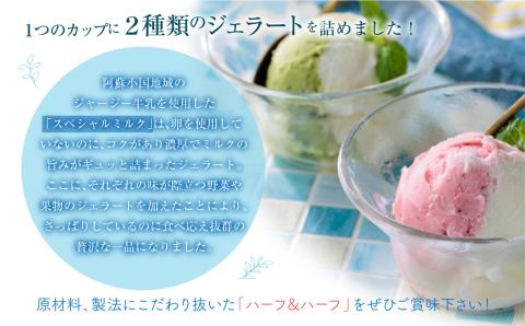 阿蘇天然アイス ハーフ&ハーフ 8個 セット グランプリ 受賞 詰め合わせ 食べ比べ バラエティ 素材 こだわり 人気 涼しい 冷たい 冷凍 さっぱり 美味しい 贅沢 果物 フルーツ おやつ 夏 お中元 お歳暮 熊本県 阿蘇市