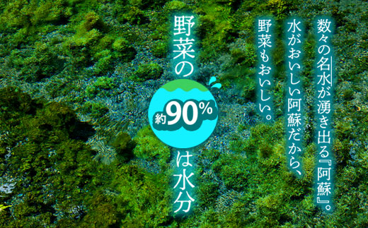 【選べる内容量】季節の お野菜 セット Mサイズ（4～6品） 詰め合わせ やさい 果物 新鮮 減農薬 高原 旬 産地直送 採れたて 朝採れ みずみずしい 甘い 美味しい 人気 安心 安全 おすすめ お中元 御歳暮 熊本県 阿蘇市 Mサイズ（4～6品）