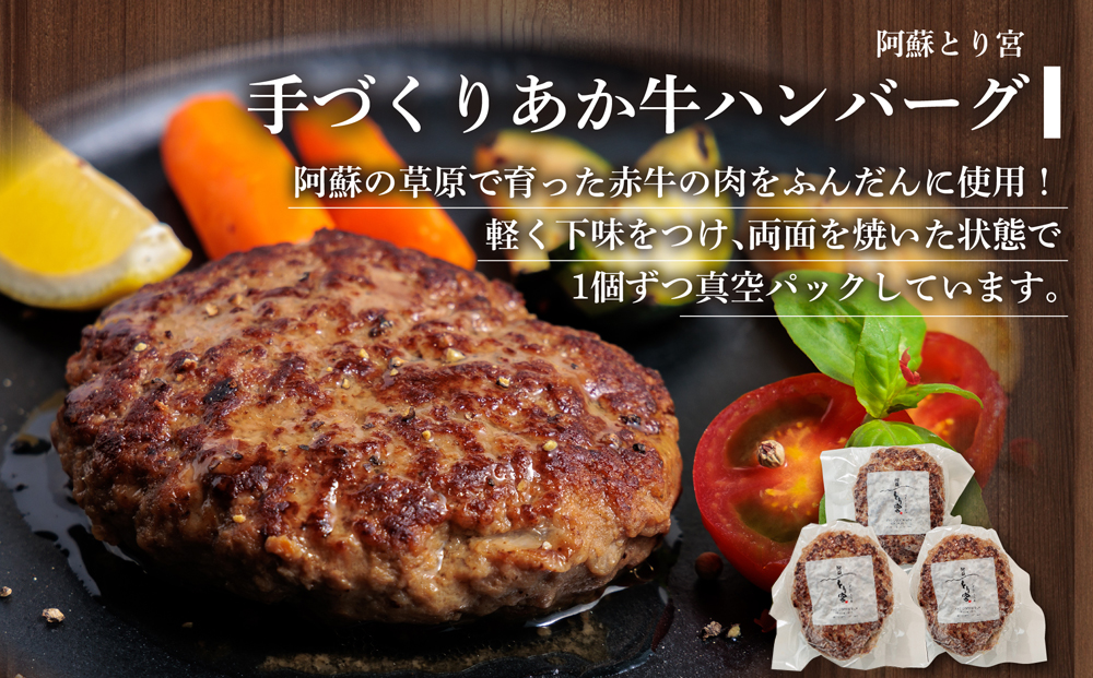 【ANA限定】あか牛サイコロステーキと手作りあか牛ハンバーグセット ANAオリジナル ブランド牛 和牛 肉 牛肉 国産 ステーキ ハンバーグ ジューシー 人気 希少 豪華 希少 熊本 阿蘇