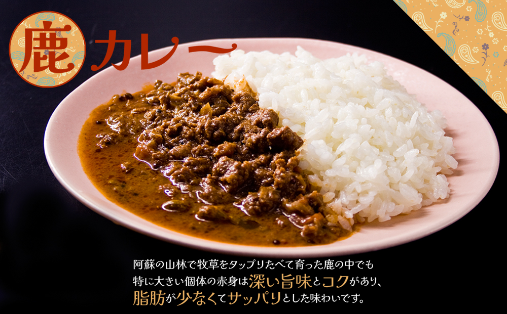 ”ジビエカレー専門店”が作るカレーとやみつき！スパイスセット カレー ジビエ 猪 鹿 スパイス 食べ比べ 詰め合わせ レトルトカレー オリジナルスパイス 人気 美味しい 熊本 阿蘇
