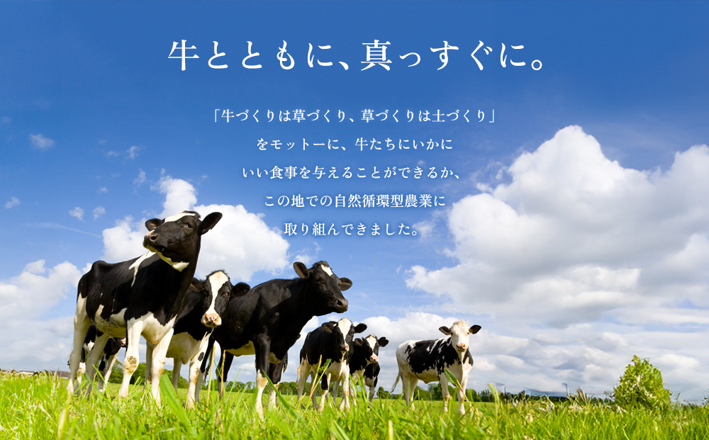 【選べる本数】のむヨーグルト 800ml×1本 阿部牧場 牧場 ASOMILK使用 ヨーグルト 乳製品 最優秀味覚賞 三ツ星受賞 新鮮 搾りたて こだわり 人気 濃厚 贅沢 朝食 濃厚 飲料 冷蔵 お歳暮 御中元 熊本県 阿蘇市 1本