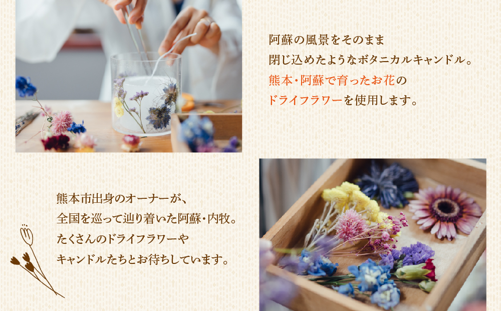 【熊本県阿蘇市】ボタニカルキャンドル制作体験 （Lサイズ）1つ制作 熊本・阿蘇の草花を使ったお好きなドライフラワーをお選びいただき世界で一つだけのオリジナルキャンドル制作が出来る体験チケット