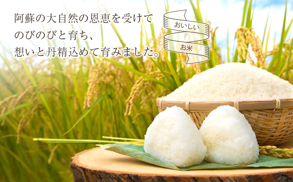 令和7年産 新米 ミルキークイーン 5kg 白米 水穂やまだ R7年 グランプリ獲得 お米 人気 甘味 美味しい  弾力 粘り 食感 湧水 ごはん 熊本県 阿蘇市