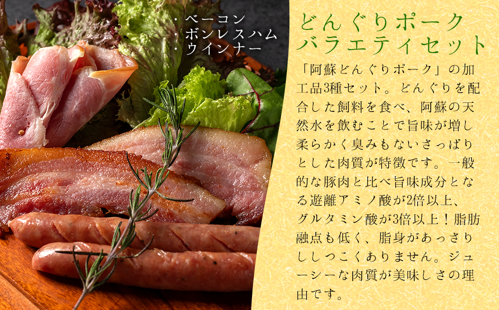 阿蘇を感じる阿蘇蔵サラダ野菜の朝食セット 新鮮 旬 産地直送 採れたて 人気 美味しい 熊本 阿蘇