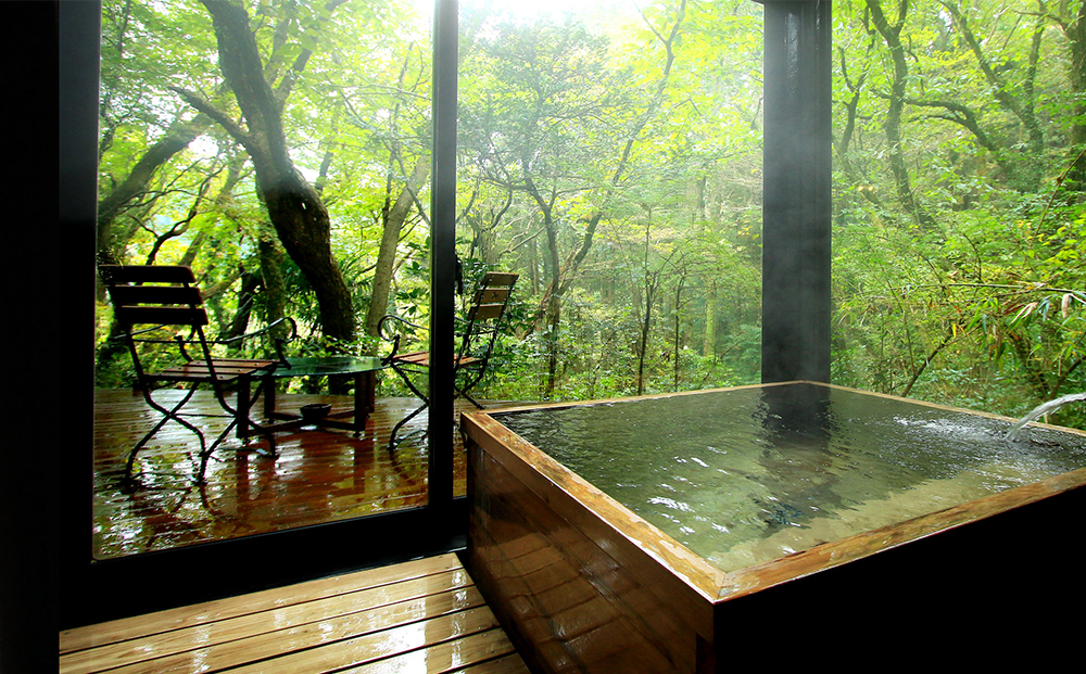 阿蘇の大自然を肌で体感する1泊2食付きペア宿泊券 【はなれの宿 千の森】はなれの宿 千の森 温泉 旅行  遊覧 ヘリコプター 観光 宿泊 リラックス 体験 食事付き おすすめ 熊本県 阿蘇市 宿泊券