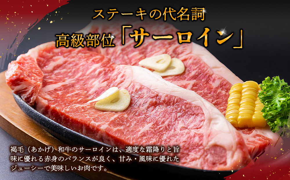 【定期便 全3回】【ANA限定】あか牛 ステーキ 定期便（ヒレステーキ ランプステーキ サーロイン） ANAオリジナル ANA限定 ブランド 冷凍 牛肉 精肉 希少部位 国産 人気 豪華 贅沢 食べ比べ ギフト 贈答用 おすすめ お中元 お歳暮 クリスマス 熊本県 阿蘇市