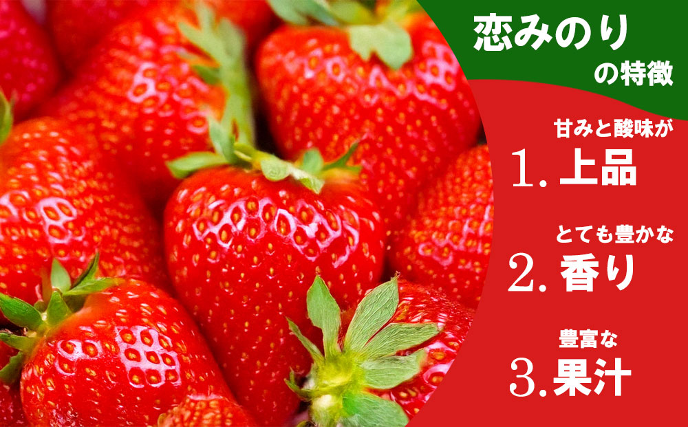 【選べる内容量】いちご 食べ比べセット ゆうべに・恋みのり 各2パック 計4パック 高藤農園 美味しい 人気 あまい 甘い イチゴ 詰め合わせ フルーツ 旬 果実 クリスマス お歳暮 御中元 ギフト おやつ ふるさと納税 熊本 阿蘇 各2パック（計4パック）