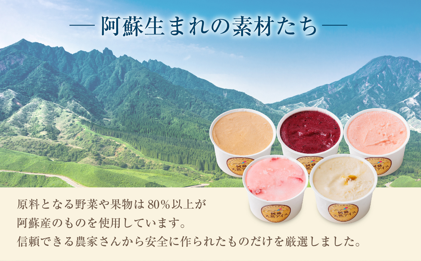 阿蘇天然アイス ジェラート18個セット（生キャラメルチョコ・ブルーベリー・抹茶・いちご・マンゴー・ミルク）6種×3個 計18個 グランプリ 受賞 詰め合わせ 食べ比べ バラエティ 冷たい 冷凍 贅沢 おやつ お中元 お歳暮 熊本県 阿蘇市