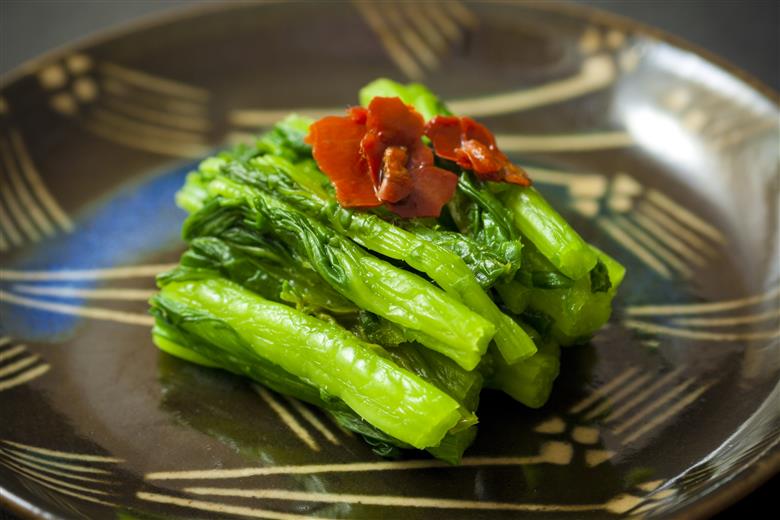 【選べるセット】【期間限定】春の「ひとくち阿蘇」セット 新漬け高菜3種食べ比べ 計700g たかな 青たかな 青高菜 漬物 旬 春 数量限定 ご当地 阿蘇高菜 郷土料理 漬物 冷蔵 冷凍保存可能 おつまみ ごはん おかず ピリ辛 野菜 加工食品 熊本県 阿蘇市 新漬けたかな3種セット