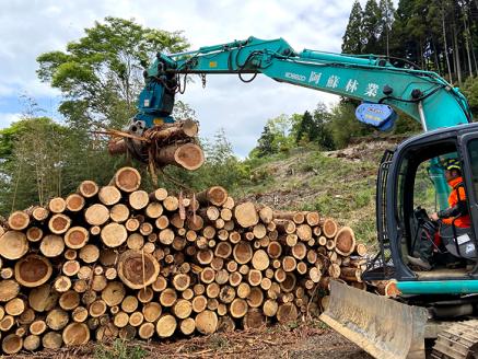 【選べる内容量】阿蘇の薪 広葉樹100kg （20kg×5箱） キャンプ 薪 暖炉 薪ストーブ  アウトドア 人気 おすすめ 再生可能エネルギー サクラ クヌギ ハサコ カシ 熊本 阿蘇 広葉樹 20kg×5箱