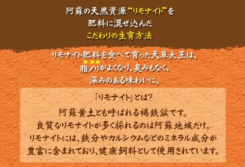 くまもと地鶏 天草大王 一羽まるごとセット 1.5kg もも肉 むね肉 ささみ 地鶏 肉 鶏肉 炭火焼 人気 希少 貴重 美味しい ヘルシー ジューシー コラーゲン 食べ比べ 熊本 阿蘇