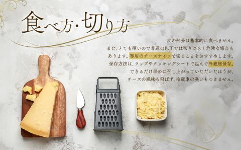 ASOMILK CHEESE セミハードホール 約10kg 阿部牧場 チーズ 希少 熟成 こだわり 人気 豪華 贅沢 乳製品 ASOMILK 牛乳 ミルク 熊本 阿蘇