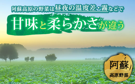 【選べる内容量】季節の お野菜 セット Mサイズ（4～6品） 詰め合わせ やさい 果物 新鮮 減農薬 高原 旬 産地直送 採れたて 朝採れ みずみずしい 甘い 美味しい 人気 安心 安全 おすすめ お中元 御歳暮 熊本県 阿蘇市 Mサイズ（4～6品）