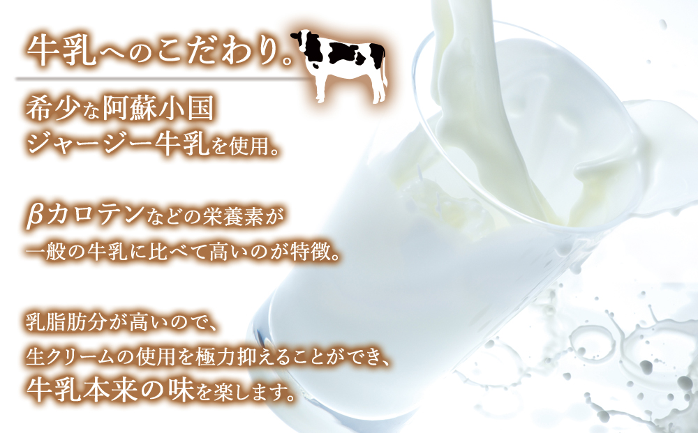 阿蘇天然アイス 10種 ジェラート セット グランプリ 受賞 詰め合わせ 食べ比べ バラエティ 素材 こだわり 人気 涼しい 冷たい 冷凍 さっぱり 美味しい 贅沢 果物 フルーツ おやつ 夏 お中元 御歳暮 熊本県 阿蘇市