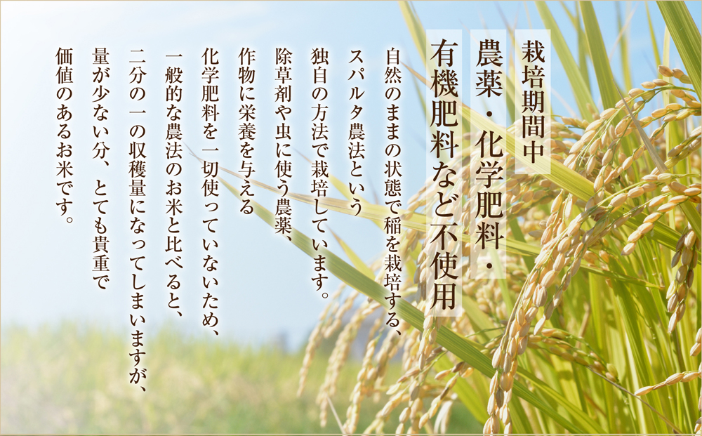 極美純米ぴかまる 2kg  スパルタ農法こだわりのお米  2kg 米 お米 コンクール 優秀金賞 受賞 人気 美味しい こだわり 贅沢 高級 減農薬 熊本 阿蘇