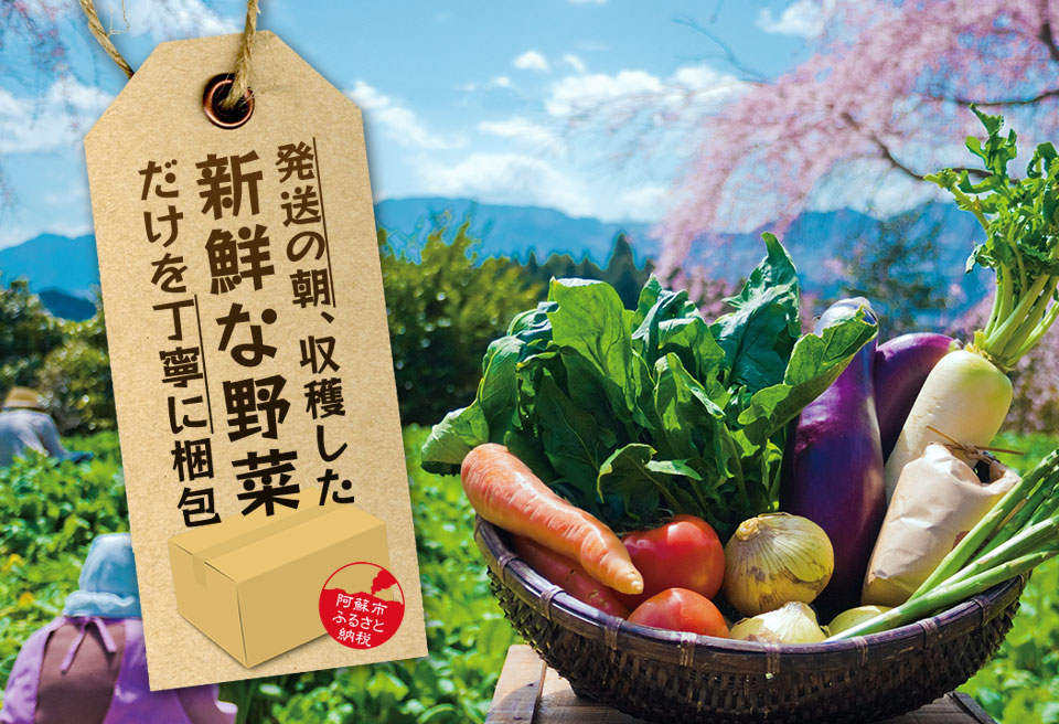 【定期便 全3回】<畑から直送>季節のお野菜セット Lサイズ（7～9品） 詰め合わせ やさい 果物 新鮮 減農薬 高原 旬 産地直送 毎月 採れたて 朝採れ みずみずしい 甘い 美味しい 人気 安心 安全 おすすめ お中元 御歳暮 熊本県 阿蘇市 定期便 全3回