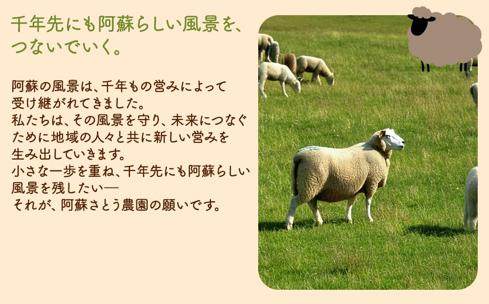 【選べる内容量】【国産】ジンギスカン 1.2kg 阿蘇さとう農園 阿蘇地域で生産した貴重な国産羊肉！ 冷凍 小分け 熊本特産 晩白柚風味 簡単調理 焼くだけ 本格 貴重 熊本グルメ ご当地グルメ 特製漬け込み お取り寄 BBQ 焼肉 食材 おかず ヘルシー 熊本県 阿蘇市 1.2kg