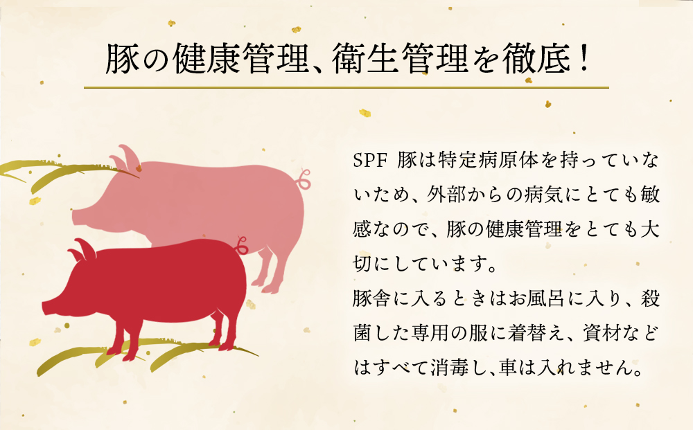 【選べる内容量】【ANA限定】くまもとあか牛すき焼き用 豚バラ肉しゃぶしゃぶ用 各500g 計1kg 鍋 しゃぶしゃぶ すき焼き 牛肉 豚肉 精肉 冷凍 便利 おすすめ 料理 自宅用 贈答用 お中元 お歳暮 ギフト 熊本県 阿蘇市 計1kg(各500g)