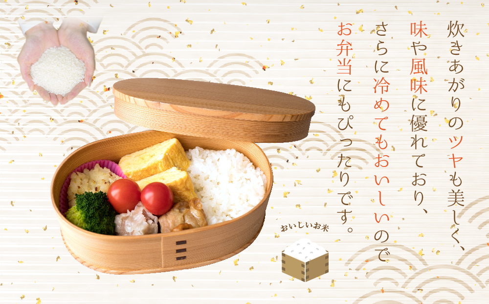 【選べる回数】定期便全12回 R7年産 コシヒカリ 5kg プロ厳選の産地直送米 令和7年産 阿蘇の美味しいお米をお届け！精米 白米 人気 美味しい 甘み 香り ツヤ おすすめ ごはん 熊本県 阿蘇市 定期便（全12回）
