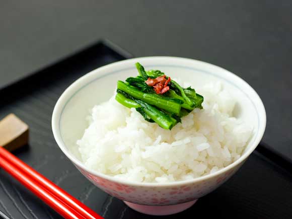 【選べるセット】【期間限定】春の「ひとくち阿蘇」セット 新漬け高菜3種食べ比べ 計700g たかな 青たかな 青高菜 漬物 旬 春 数量限定 ご当地 阿蘇高菜 郷土料理 漬物 冷蔵 冷凍保存可能 おつまみ ごはん おかず ピリ辛 野菜 加工食品 熊本県 阿蘇市 新漬けたかな3種セット