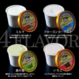牧場直送！阿蘇ミルクアイス フローズンヨーグルト 10個 阿部牧場 牛乳 ASOMILK 乳製品 最優秀味覚賞 三ツ星 セット 詰め合わせ 人気 こだわり 涼しい 冷たい 冷凍 美味しい 濃厚 贅沢 おやつ スイーツ デザート 夏 お中元 お歳暮 熊本県
