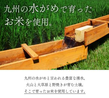 岡本酒店 焼酎飲み比べセット 一所懸命 説法焼酎 ふるさと納税 人気 美味しい お酒 焼酎 酒 詰め合わせ 飲み比べ 熊本 阿蘇