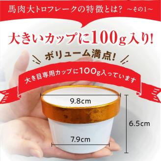 【国産】 大トロ フレーク 300g 利他フーズ 馬肉 人気 美味しい 小分け 新鮮 名物 特産品 ヘルシー 高タンパク おすすめ 冷凍 お中元 御歳暮 贈答用 プレゼント 熊本県 阿蘇市