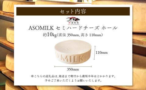 ASOMILK CHEESE セミハードホール 約10kg 阿部牧場 チーズ 希少 熟成 こだわり 人気 豪華 贅沢 乳製品 ASOMILK 牛乳 ミルク 熊本 阿蘇