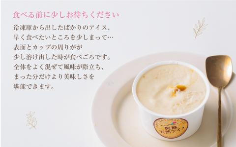 阿蘇天然アイス 極みシリーズ 6個 セット ジェラート グランプリ 受賞 詰め合わせ 食べ比べ バラエティ 素材 こだわり 人気 涼しい 冷たい 冷凍 さっぱり 美味しい 贅沢 果物 フルーツ おやつ 夏 お中元 お歳暮 熊本県 阿蘇市