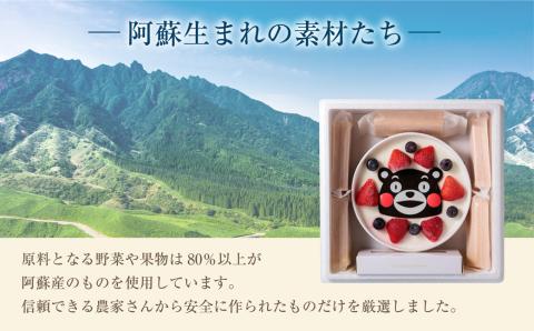 阿蘇天然アイス くまモンホームパーティー アイスセット アイス ケーキ デザート スイーツ 最中 素材 こだわり 和菓子 くまモン 専用スプーン 人気 贅沢 美味しい 冷凍 熊本 阿蘇