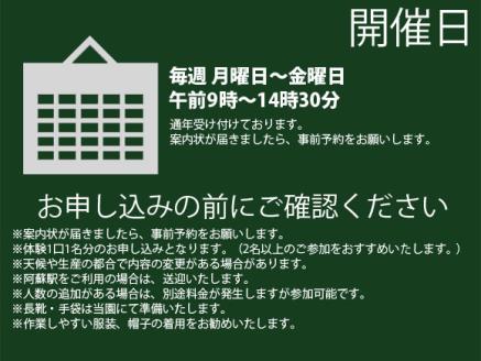 阿蘇蔵農園 阿蘇のカルデラで農業体験＆お散歩 野菜スムージー・お弁当あり 体験 自然 農業 野菜 スムージー お弁当 熊本 阿蘇