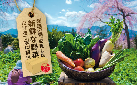 【選べる内容量】季節の お野菜 セット Mサイズ（4～6品） 詰め合わせ やさい 果物 新鮮 減農薬 高原 旬 産地直送 採れたて 朝採れ みずみずしい 甘い 美味しい 人気 安心 安全 おすすめ お中元 御歳暮 熊本県 阿蘇市 Mサイズ（4～6品）