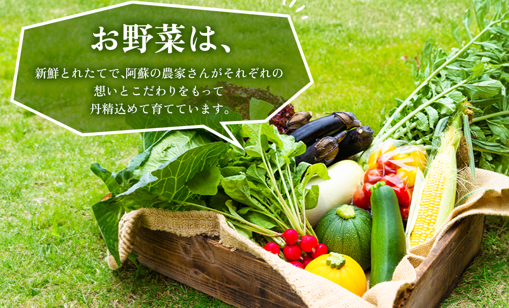 季節のお野菜とひばり工房 3大人気セットver.2 （野菜、ベーコンブロック、プレスハム、ポークソーセージ） 詰め合わせ 食べ比べ ドイツ コンテスト suffa 金賞 手作り 豚肉  新鮮 減農薬 高原 旬 産地直送 採れたて 朝採れ みずみずしい 甘い 美味しい 人気 安心 安全 おすすめ お中元 御歳暮 熊本県 阿蘇市