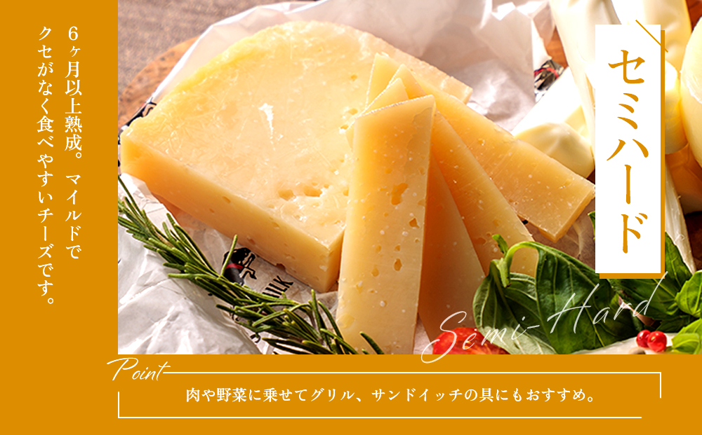 牧場の風を感じる 阿部牧場しぼりたて牛乳でつくる出来立てチーズセット 阿部牧場 チーズ 乳製品 詰め合わせ 4種類 人気 美味しい 濃厚 こだわり 食べ比べ バラエティ 熊本 阿蘇