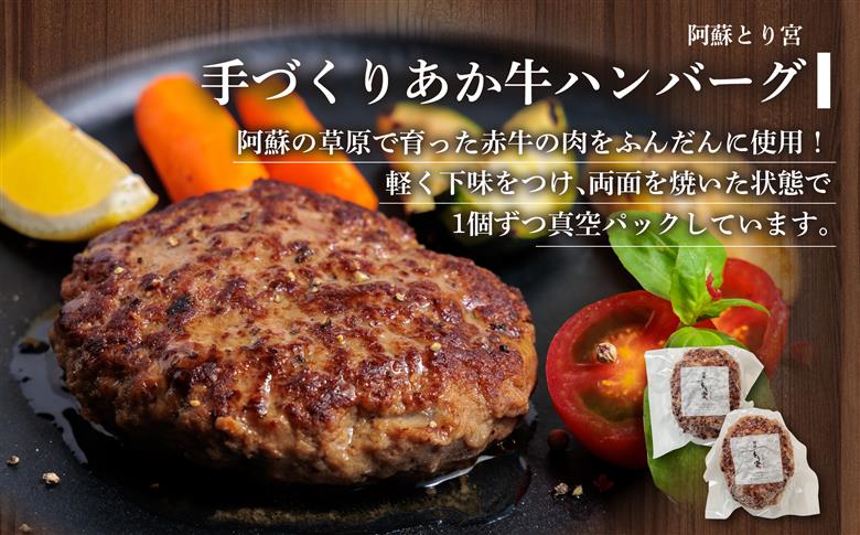 豪華5種類のあか牛のハンバーグ食べ比べセット （15個） あか牛 ブランド牛 和牛 牛肉 肉 ハンバーグ 5種 15個 食べ比べ 詰め合わせ 人気 美味しい 贅沢 豪華 熊本 阿蘇