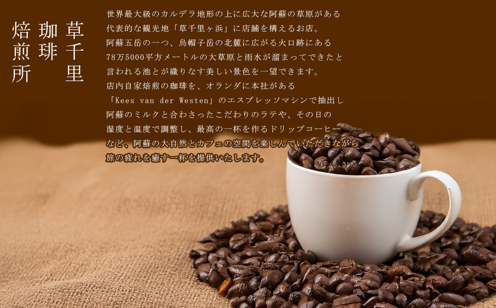 コーヒー 珈琲ギフトBOX ドリップパック 20Pセット (深煎り、浅煎り、計20P) 草千里珈琲焙煎所 ミディアムボディ 深煎り 浅煎り コーヒー豆 ブラジル カフェ 阿蘇山 お試し ギフト まろやか 美味しい 贈り物 熊本県 阿蘇市