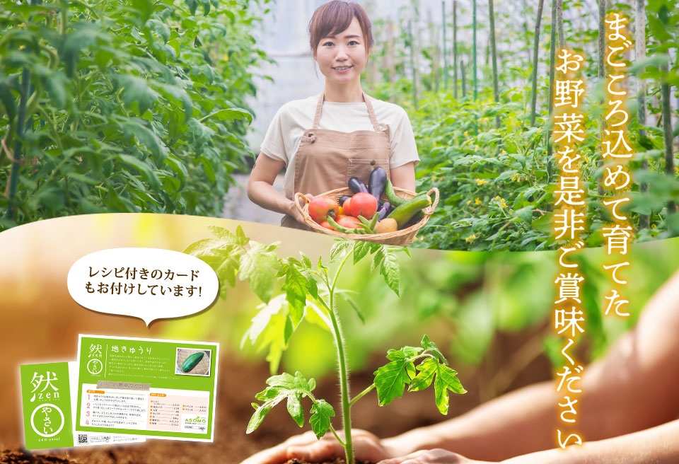 【定期便 全6回】<畑から直送>季節のお野菜セット XLサイズ（10～12品） 詰め合わせ やさい 果物 新鮮 減農薬 高原 旬 産地直送 毎月 採れたて 朝採れ みずみずしい 甘い 美味しい 人気 安心 安全 おすすめ お中元 御歳暮 熊本県 阿蘇市 定期便 全6回