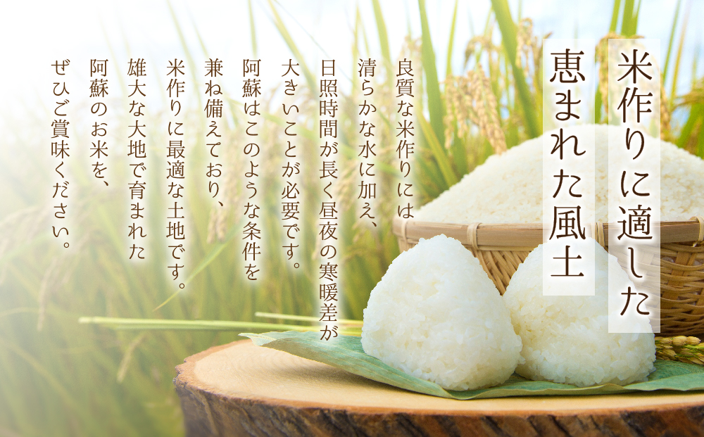 令和7年産 新米 ミルキークイーン 5kg 白米 水穂やまだ R7年 グランプリ獲得 お米 人気 甘味 美味しい  弾力 粘り 食感 湧水 ごはん 熊本県 阿蘇市