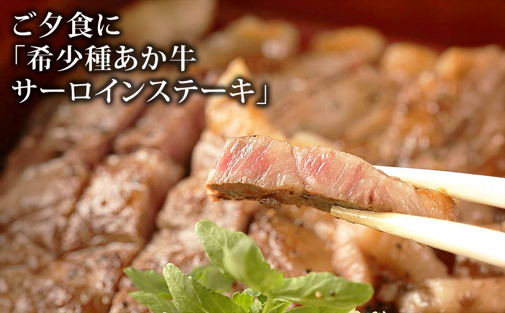 阿蘇 親和苑 ミシュランガイド掲載旅館 特別室「紬」高級和食会席付き1泊2食付き宿泊券 熊本県 阿蘇市