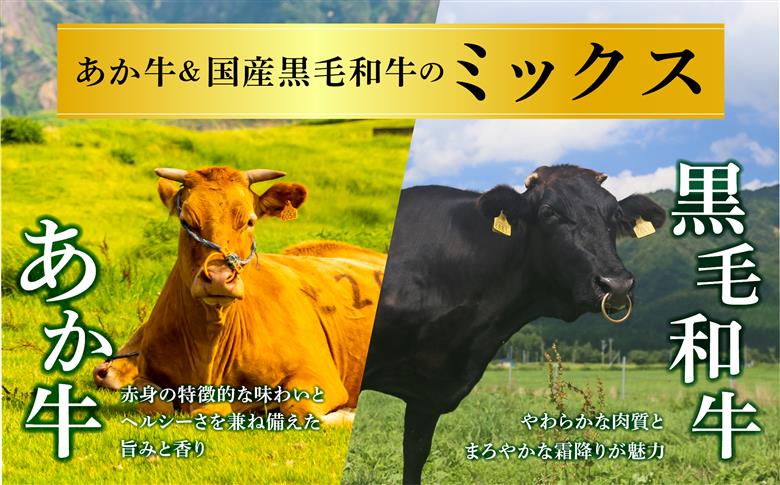 【選べる内容量】【畜協直】 国産和牛切り落とし （あか牛＆黒毛和牛のミックス） 2kg（500g×4パック） あか牛 黒毛和牛 和牛 肉 ブランド牛 国産 牛肉 冷凍 小分け 便利 詰め合わせ 食べ比べ 人気 豪華 美味しい 希少 熊本県 阿蘇市 2kg